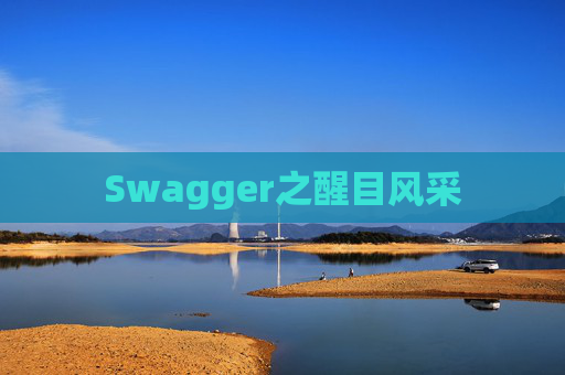 Swagger之醒目风采